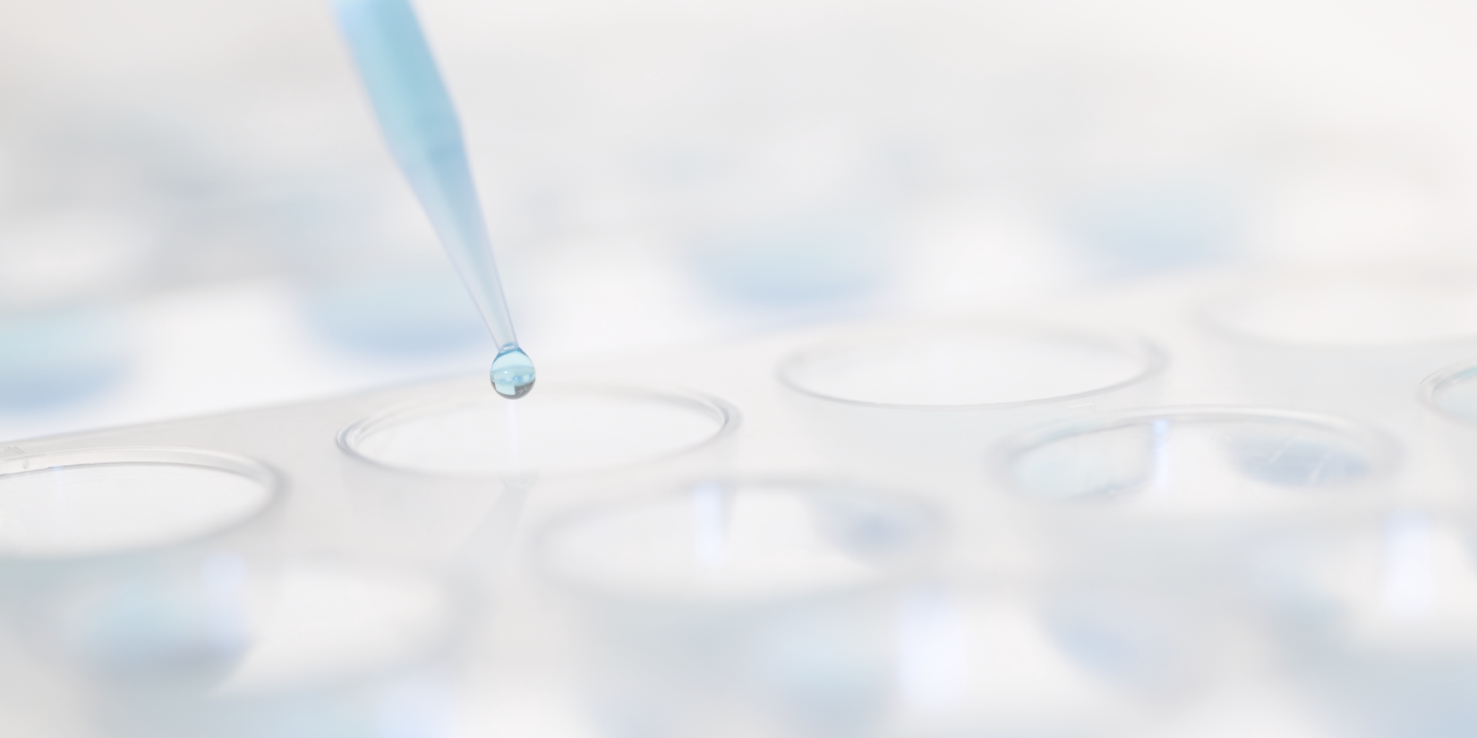 Superstratum White Paper – A Lab Proven Solution for Mycotoxins In Your Home